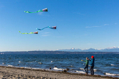 Pocket flyer | بوكت فلاير - Prism Kites Kuwait