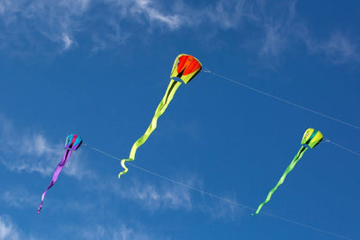 Bora 7 | بورا 7 - Prism Kites Kuwait