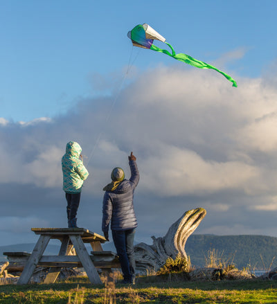 Pocket flyer | بوكت فلاير - Prism Kites Kuwait